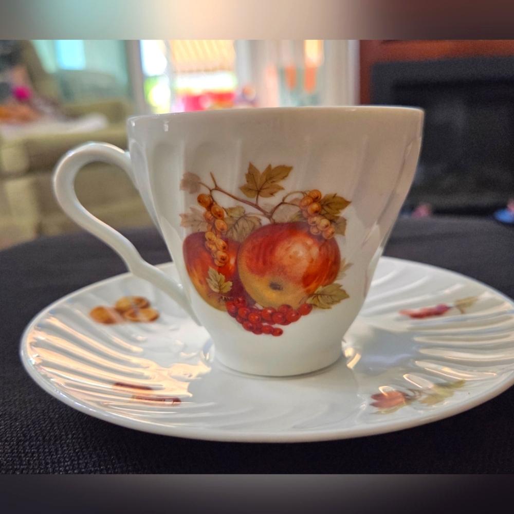 Old Neuremberg Cup & Saucer-VTG Fruit & Nut Design-Perfect Cond. Bavaria,Germany